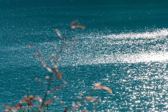 龙海湖面