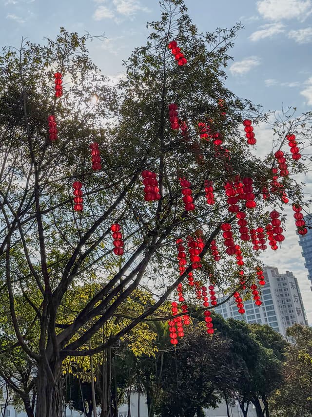春意盎然