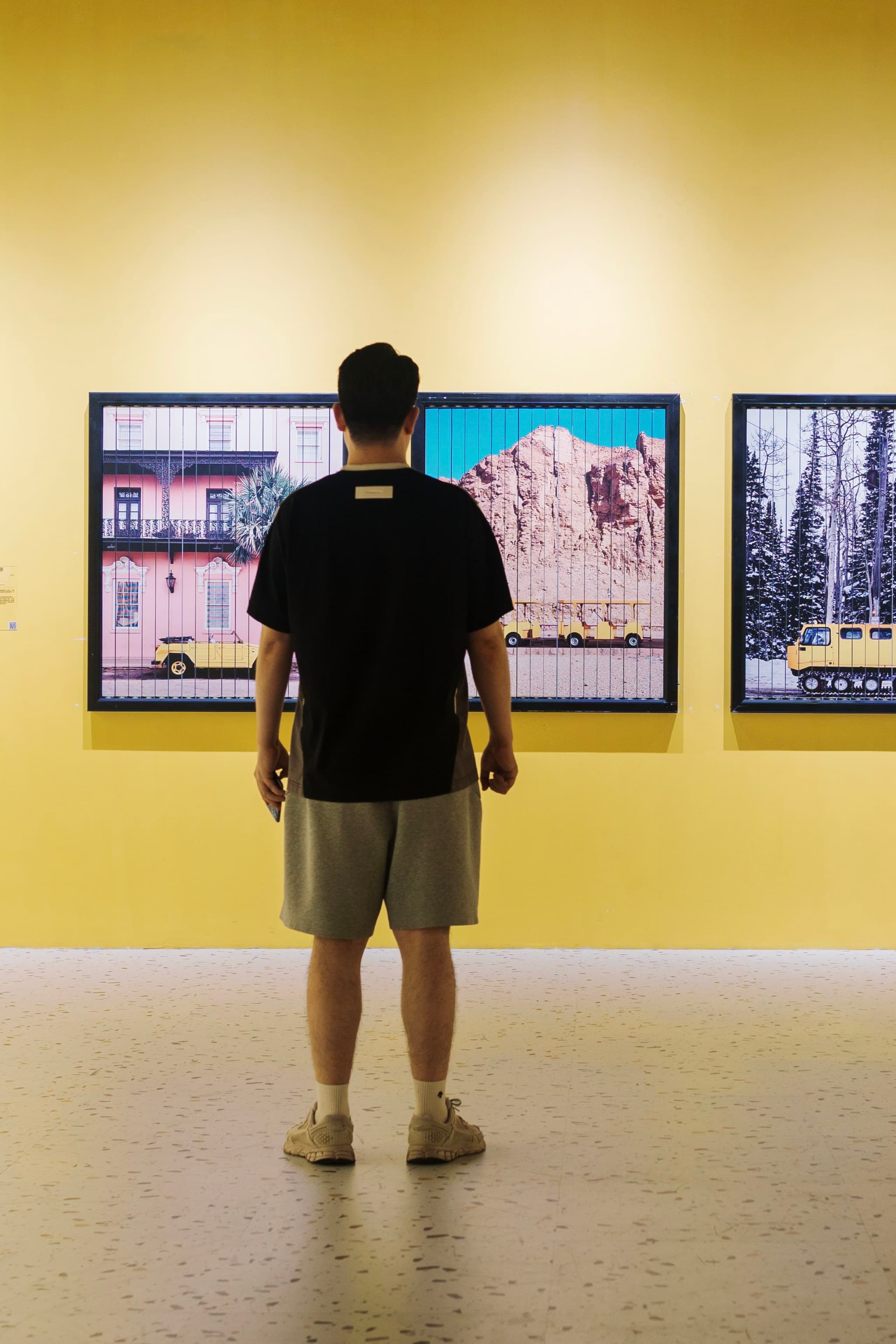 韦斯安德森展