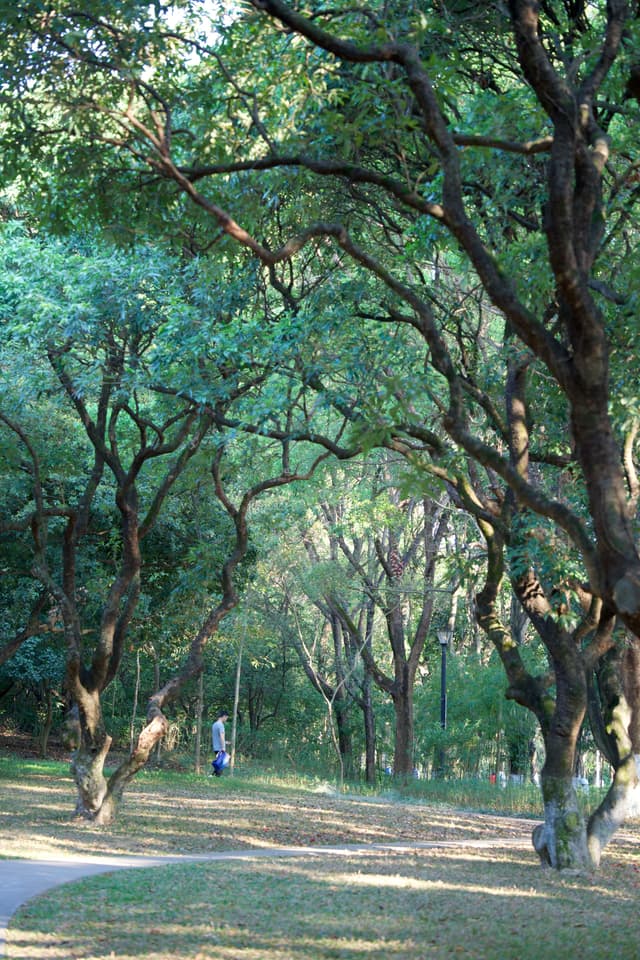 香山中街