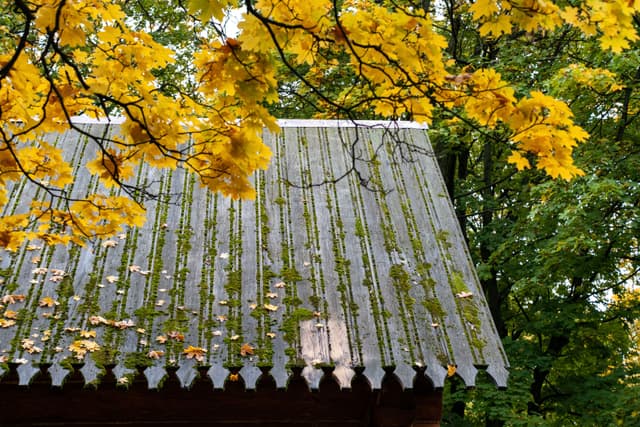 小木屋