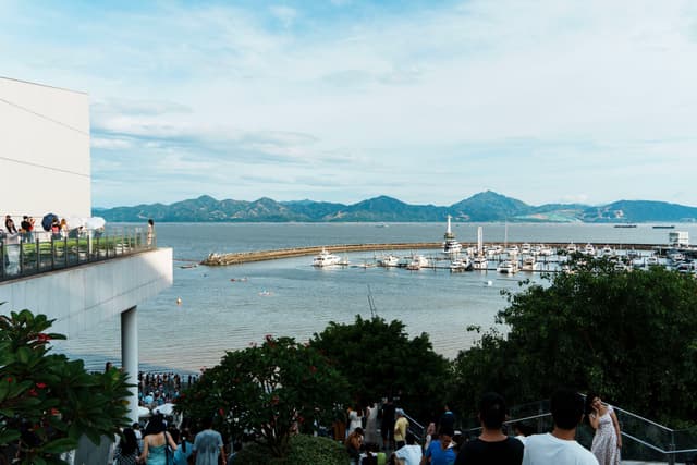 看海