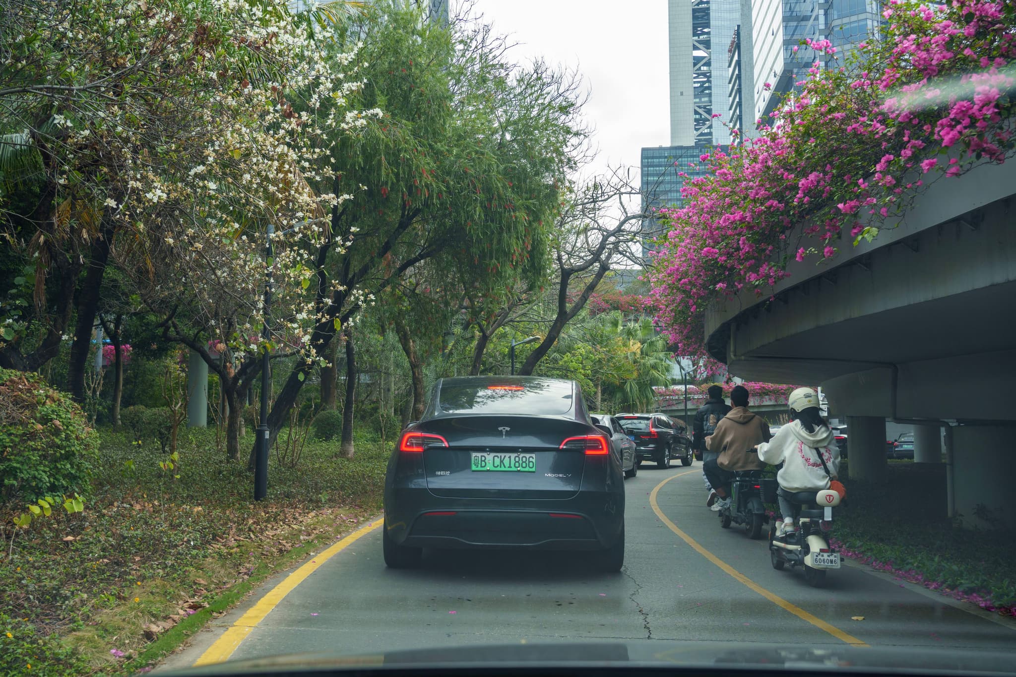 花间小路
