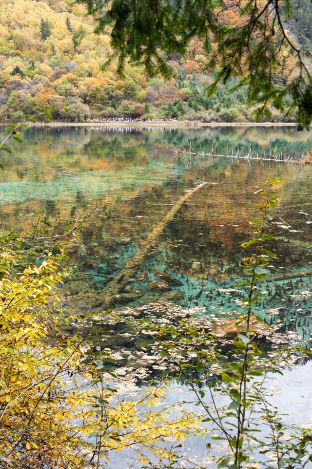 五花海