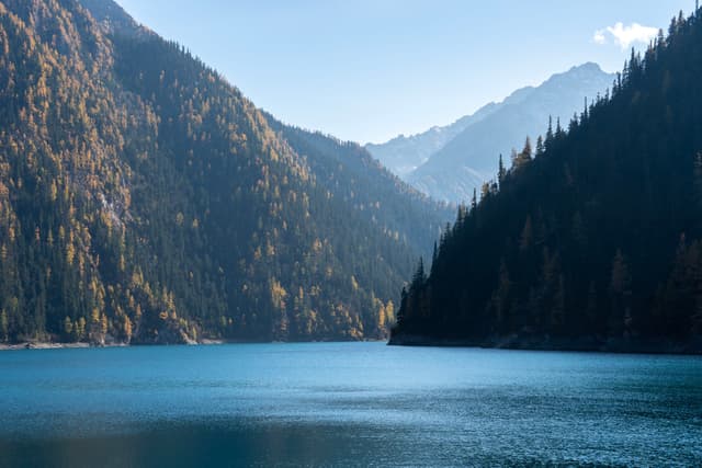 龙海
