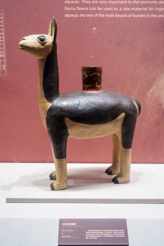 羊驼