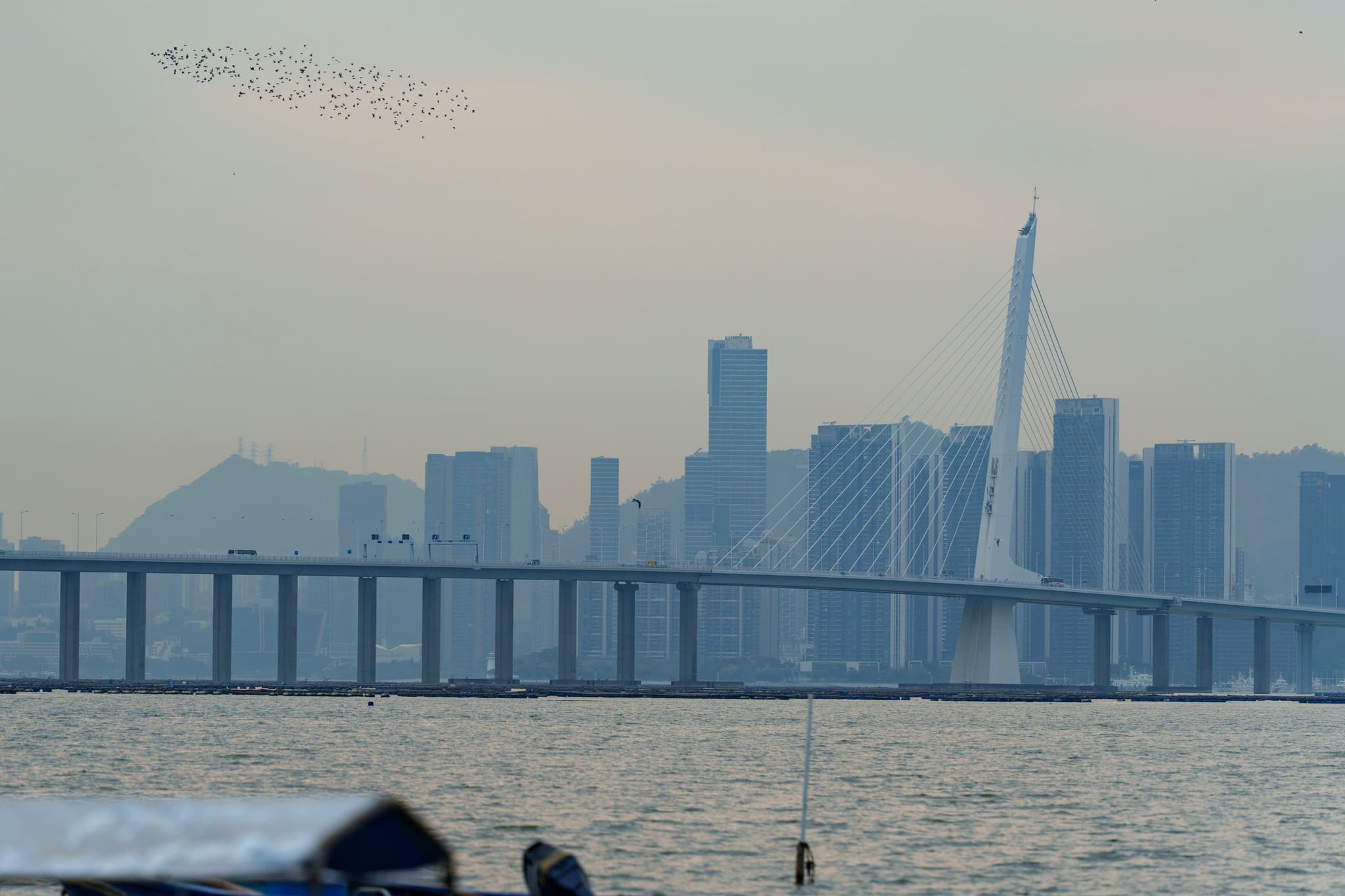 深圳湾大桥