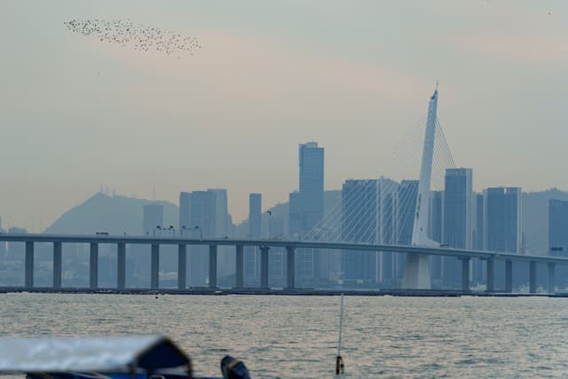 深圳湾大桥