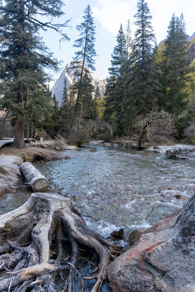 山间溪流